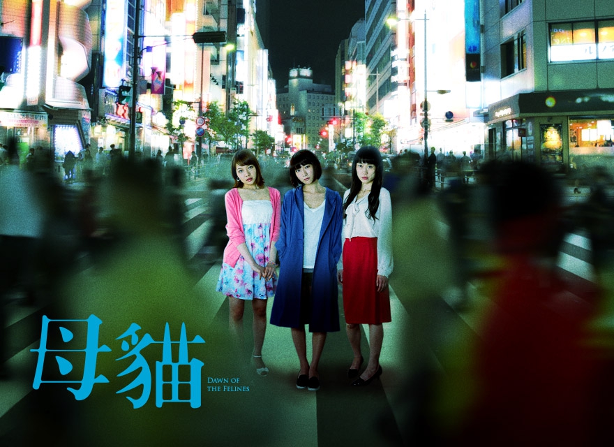 母猫们